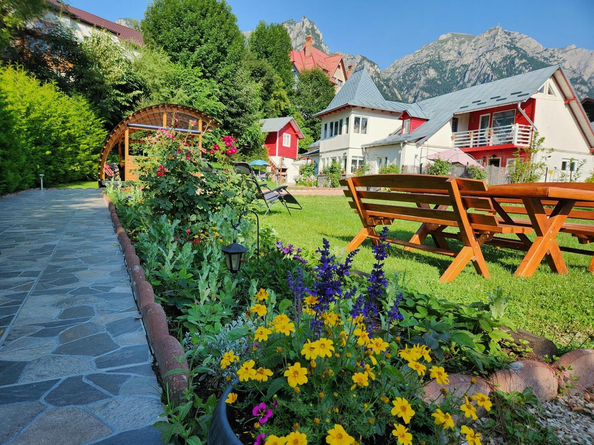 Hotel Casa Turta Dulce à Buşteni Extérieur photo